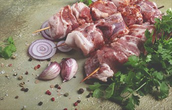 Raw pork meat, on wooden skewers, pickled kebab, with spices and herbs, on the table, top view, no