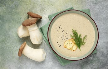 Mushroom cream soup, with dill and bruschetta, mushroom eringi