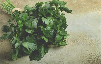 Bunch of parsley, on the table, top view, no people