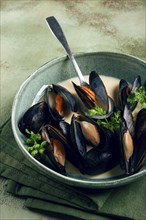 Mussels in shells, in creamy garlic sauce, mussels in bechamel sauce, homemade, no people