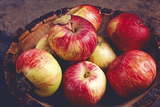 Apples in a wooden bowl, top view, yellow, red, summer variety, early, no people