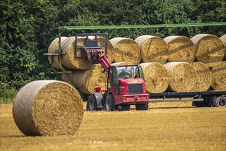 Straw bales, round bales, are loaded onto a trailer after the grain harvest, near Neuss North