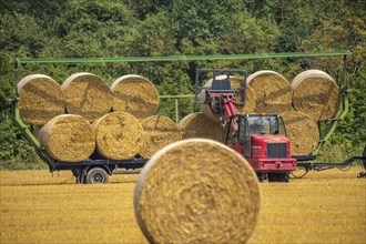 Straw bales, round bales, are loaded onto a trailer after the grain harvest, near Neuss North