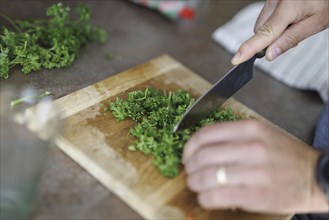 Cooking topic. A man chops fresh parsley. Berlin, 01.08.2024