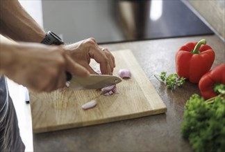 Cooking topic. A man cuts an onion. Berlin, 01.08.2024