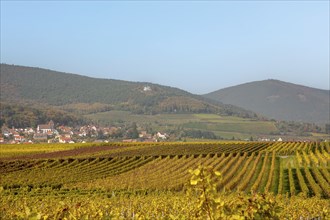 View over vineyards to the wine village Gleisweiler and the Anna Chapel, autumn, Southern