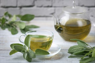 Sage tea in a glass jug and glass cup surrounded by fresh sage leaves on a wooden table