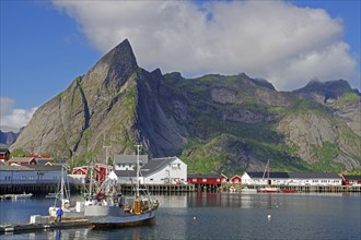 Norwegian harbour with fishing boats and colourful buildings at the foot of a green mountain under