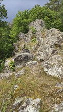 Eschbacher Klippen, Taunus nature park Park, Usingen, Hesse, Germany, Europe