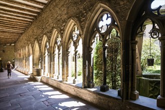 Cloister, Unterlinden Museum, Musée Unterlinden, Colmar, Alsace, France, Europe