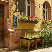 Jewish bath, historic mikvah, facade decorated with flowers, Judengasse, Jewish quarter, old town,