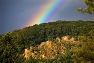 Intense rainbow in front of dark clouds over the Wartenberg, Witten, Ruhr area, North