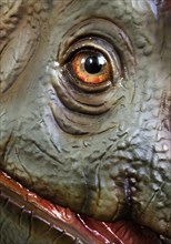 Allosaurus model, juvenile, different lizard, detail of the head, Dino City III, Bochum, Ruhr area,