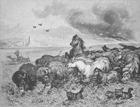 Wild horses and bison flee in panic from a prairie fire, Montana, 1895, USA, Historical, digitally