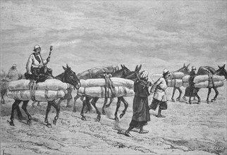 Transport of Shiite corpses to Kerbala, Kerbela, one of the most important Shiite and Alevi