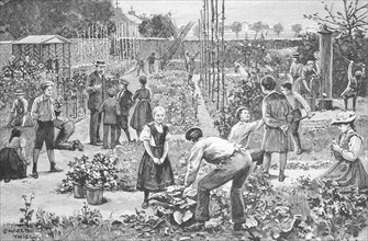 Gardening, School, Children in the community school garden in Friedenau near Berlin, in 1895,