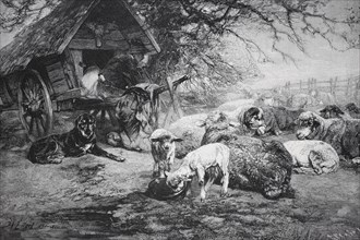 Sheep and dogs resting next to a shed in a rural landscape, Shepherd with a shepherd's cart, sheep