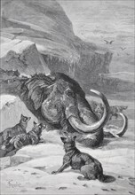 Woolly mammoth in the ice is surrounded by wolves in an icy landscape, Historic, digitally restored