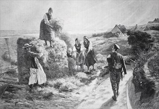 Agriculture, hay harvest, woman collecting hay while a man walks towards them on a path, here in