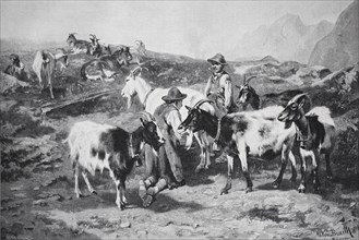 Shepherds with goats in a mountainous landscape, Gaisalpe in the Bavarian Alps, Germany,