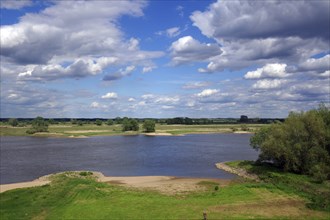 River with overgrown bank under a cloudy blue sky, Elbe, Wendland, Lower Saxony, Germany, Europe