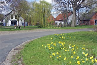 Colourful half-timbered houses surrounded by green trees and blossoming flowers under a clear sky,