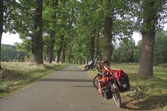 Bicycle loaded with luggage on a forest path with tall trees on a sunny day, Cycling holidays,