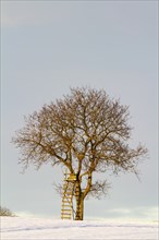 A single tree with a high stand, high seat, surrounded by a snow-covered landscape under a clear