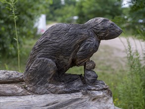 Squirrel carved out of wood at the Wilde Heimat campsite, Fürstenberg/Havel, Brandenburg, Germany,