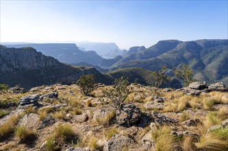 View of the Blyde River gorge, Lowveld Viewpoint, in the evening light, canyon landscape, Blyde