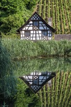 Historic half-timbered house and vineyard reflected in a pond Ittingen Charterhouse,