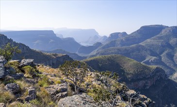 View of the Blyde River gorge, Lowveld Viewpoint, in the evening light, canyon landscape, Blyde