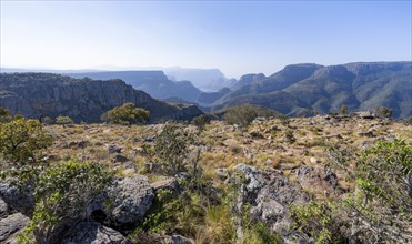 View of the Blyde River gorge, Lowveld Viewpoint, in the evening light, canyon landscape, Blyde