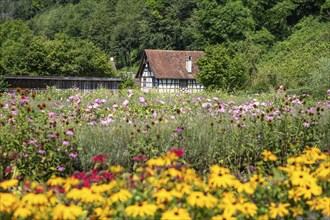 View over flower beds and herb garden, Ittingen Charterhouse, Warth-Weiningen near Frauenfeld,