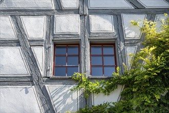 Detail of historic half-timbered house, Ittingen Charterhouse, Warth-Weiningen near Frauenfeld,