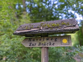 Wooden signpost for the Havelweg on the banks of the Havel, Fürstenberg/Havel, Brandenburg,