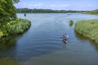 Paddle boat, paddler, on the Havel between Baalensee and Schwedtsee (behind), Fürstenberg/Havel,