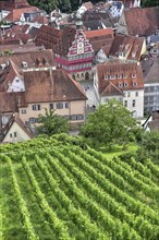 View from the vineyards on the Neckar to the historic town hall of Esslingen, Baden-Württemberg,