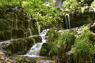 Waterfall at the Brühlbach stream in Bad Urach in the Swabian Alb, Baden-Württemberg, Germany,