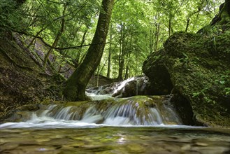 Waterfall at the Brühlbach stream in Bad Urach in the Swabian Alb, Baden-Württemberg, Germany,