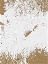 Abstract textured artwork with rough white and brown paint creating a grunge effect