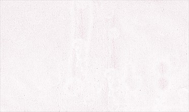 An abstract, minimalistic white background with a grainy texture