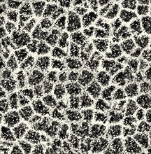 The picture displays an abstract black and white pattern with a chaotic and repetitive texture