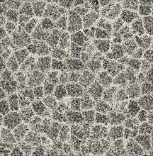 Abstract black and white cracked texture resembling a mosaic of irregular shapes