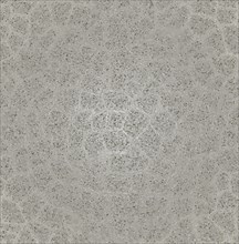 Gray textured abstract image with intricate geometric patterns and a kaleidoscopic effect