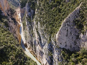 Narrow gorge with a meandering river lined by steep, wooded rock faces, aerial view, Congost de