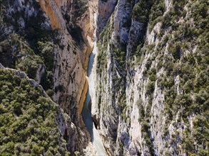 Deep gorge with a narrow river at the bottom and dense green trees on the rocks, aerial view,