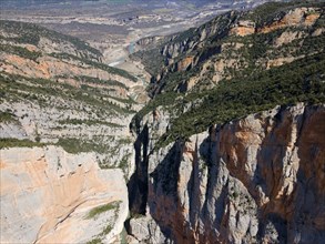 Impressive view of a deep rocky gorge covered with green trees in a mountainous landscape, aerial