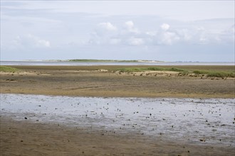 Landscape at the Kniephaken, low tide, Wadden Sea National Park, Amrum, North Sea island, North