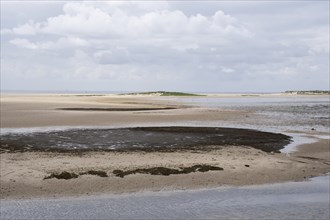 Landscape at low tide at the Kniephaken, Schleswig-Holstein Wadden Sea National Park, North Sea